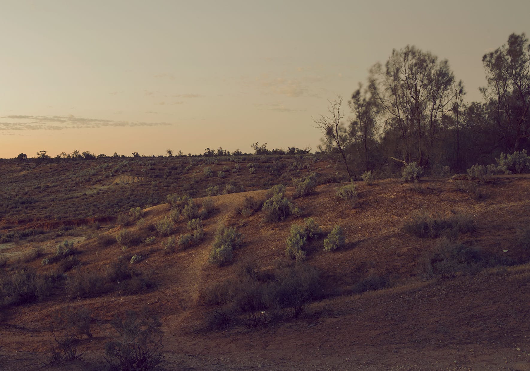 Apoc-Content-L-1770-1