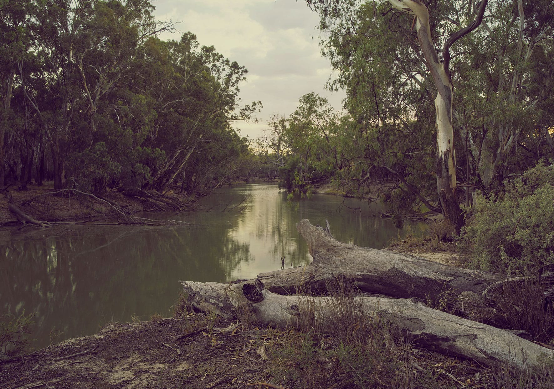 Apoc-Content-L-1770-2