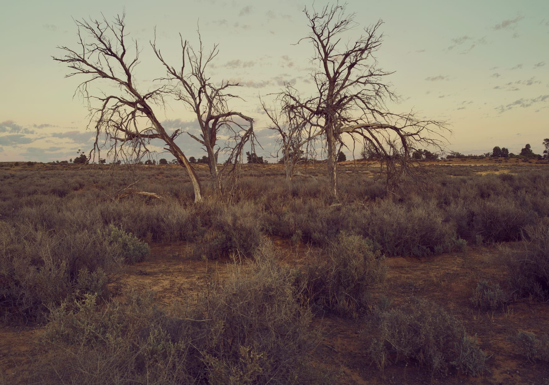 Apoc-Content-L-1770-3