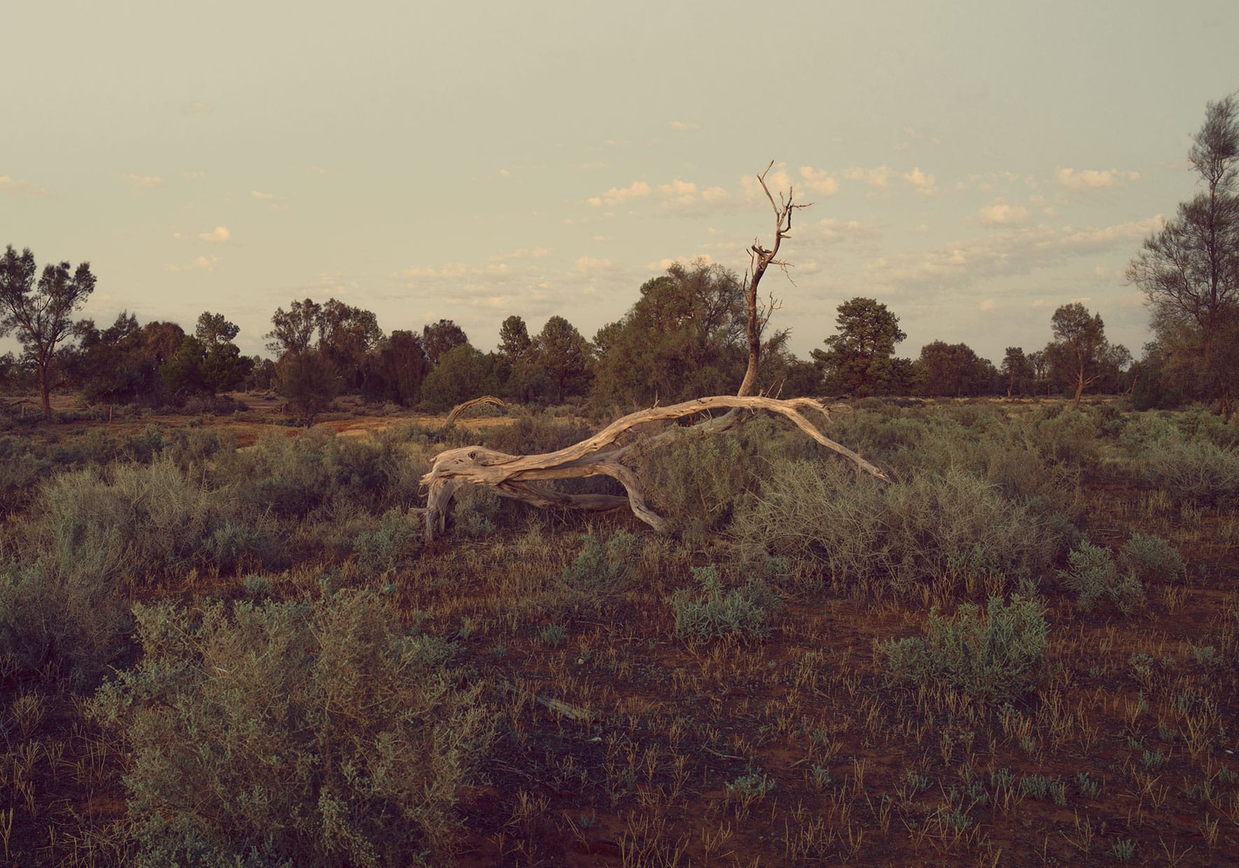 Apoc-Content-L-1770-4