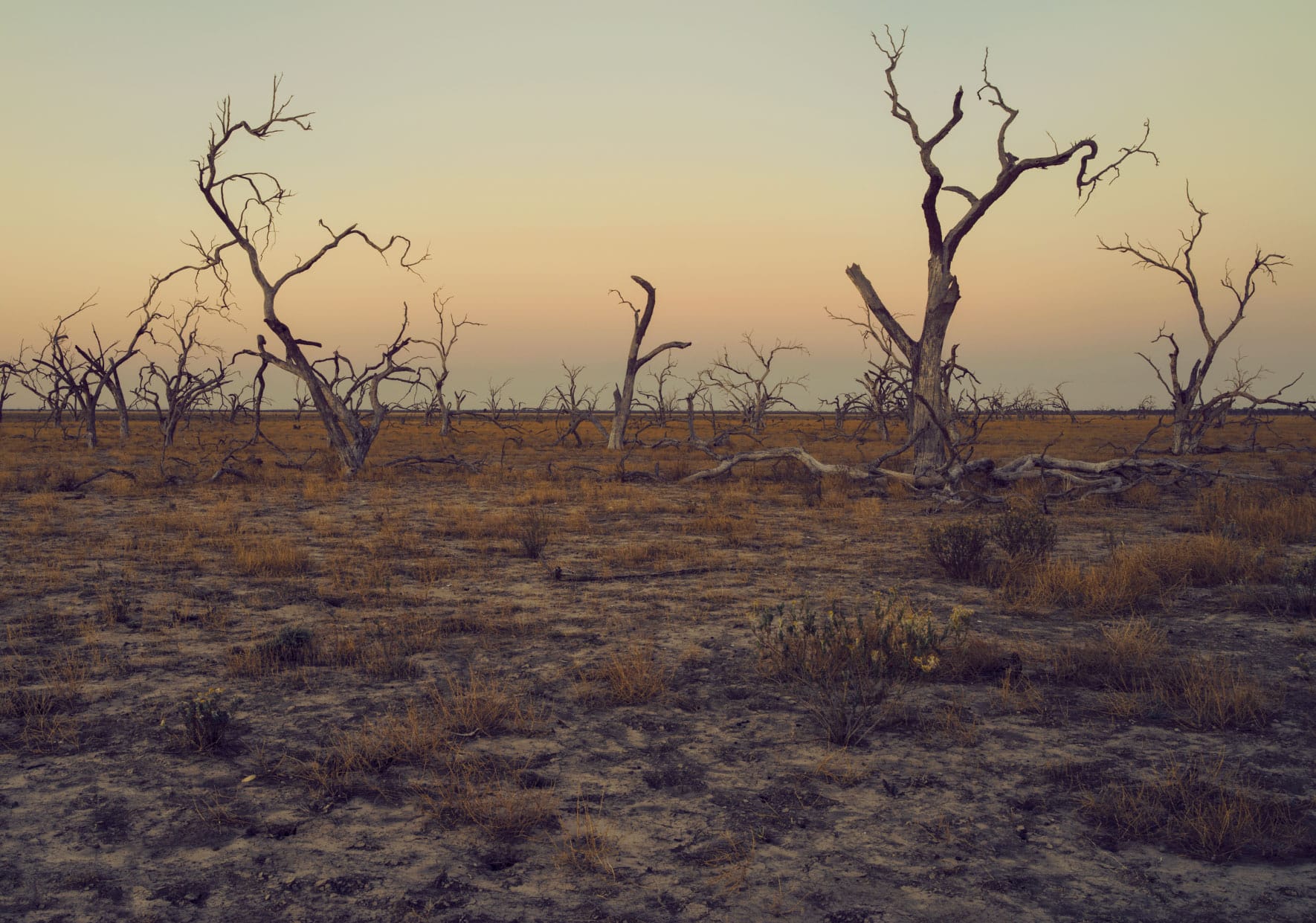 Apoc-Content-L-1770-6