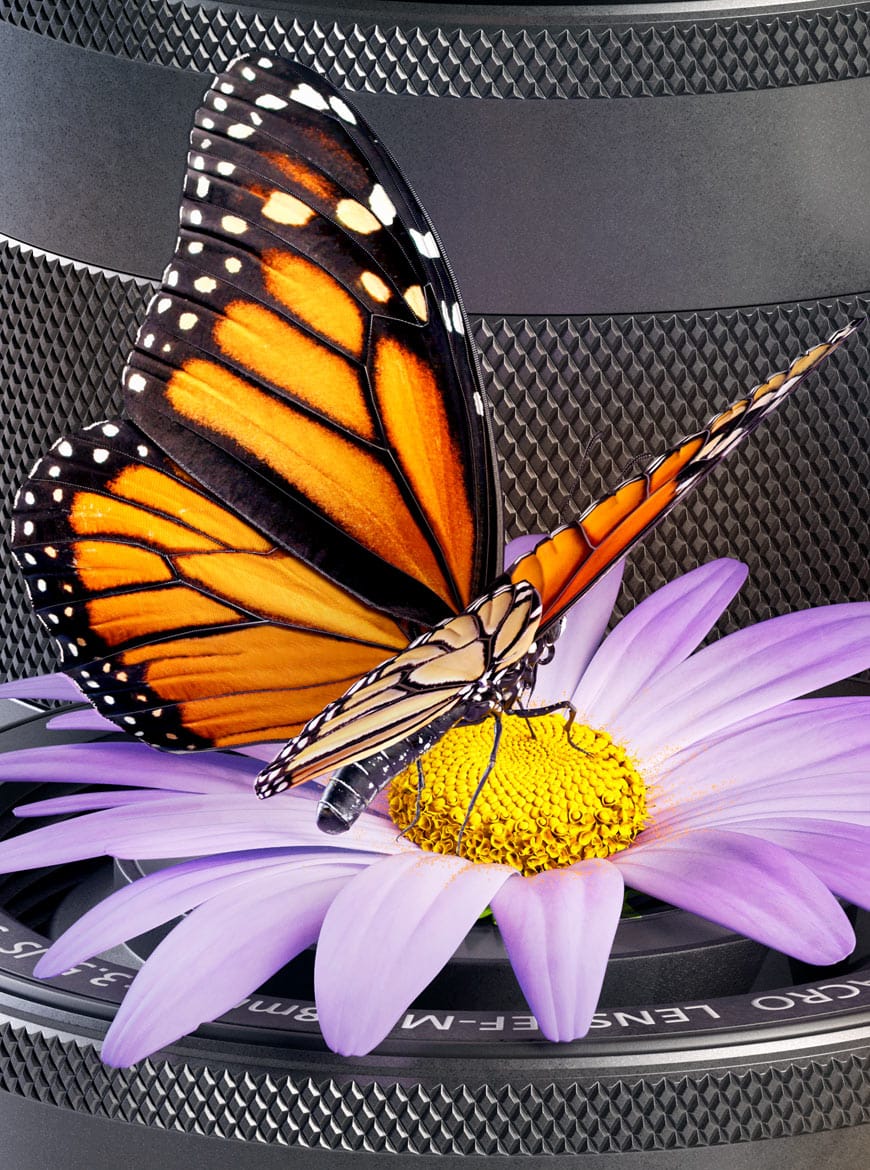 Canon-Content-Half-870w-P-1