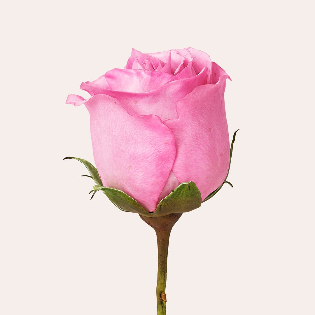 Jurlique-Mists-Content-1080w-R3