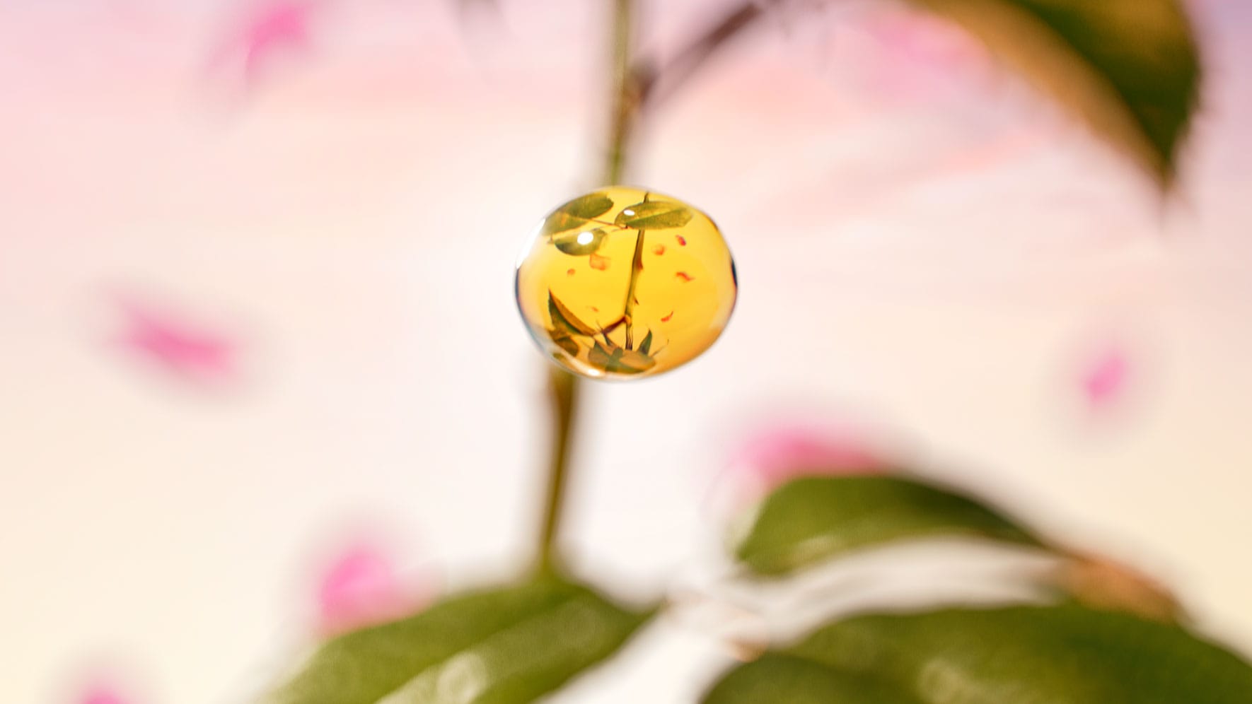 Jurlique-RR-Content-1770w-02