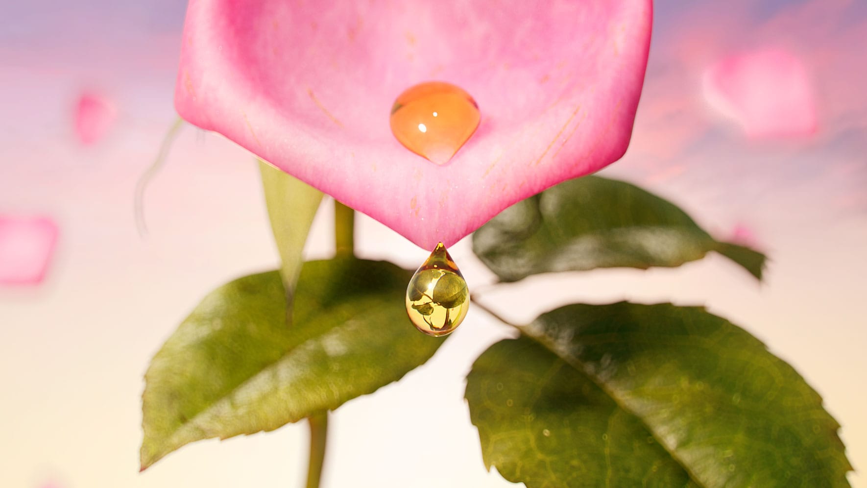 Jurlique-RR-Content-1770w–03