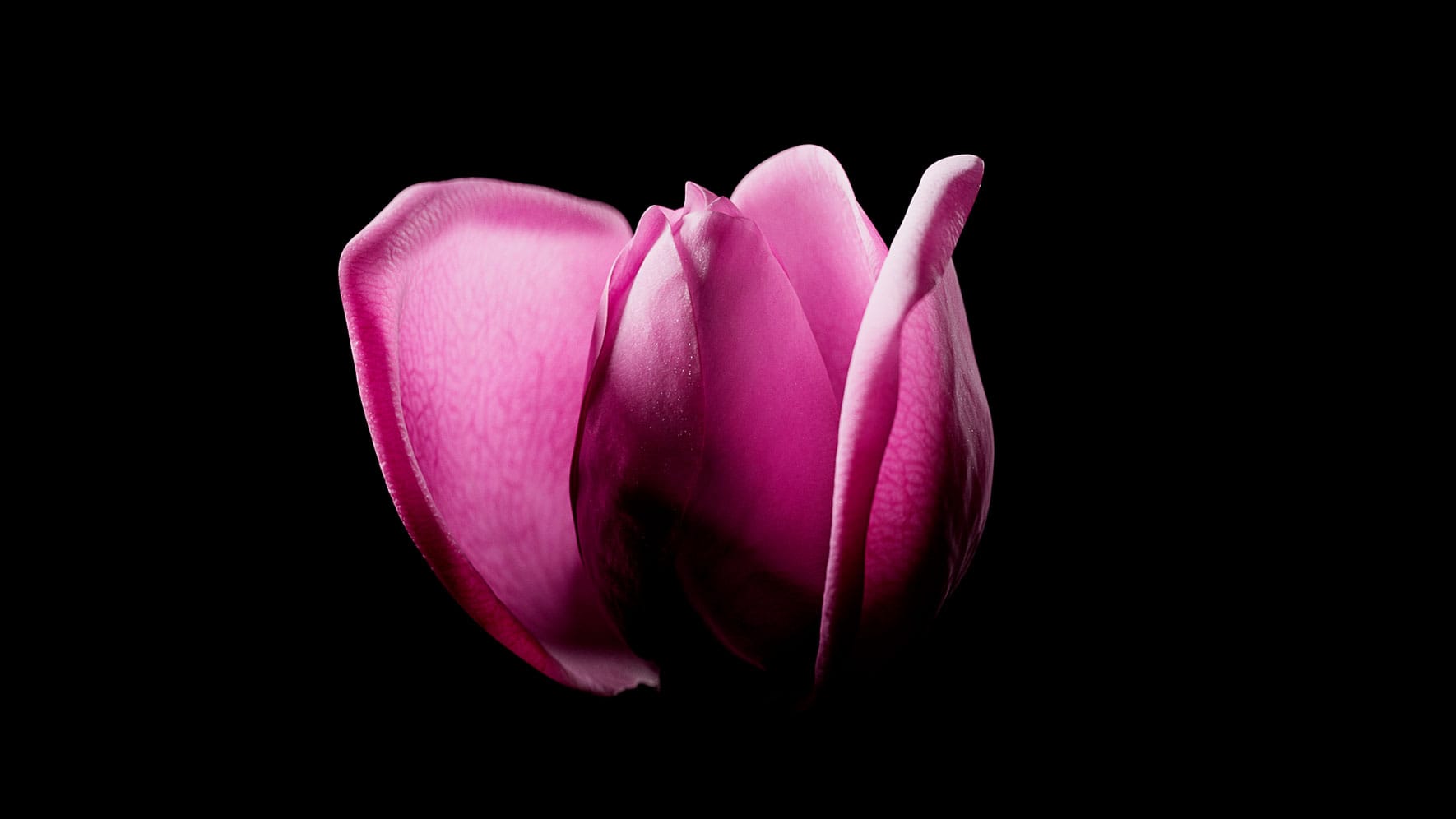 Jurlique-RR-Content-1770w-08