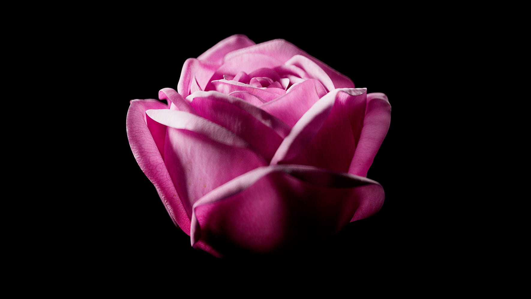 Jurlique-RR-Content-1770w-09