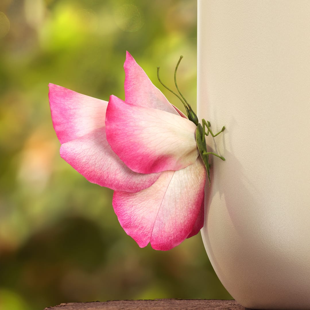 LE-Mist-Content-1080w-03