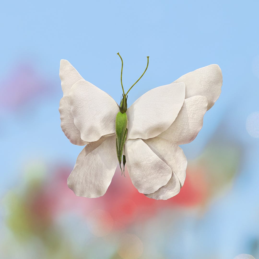 LE-Mist-Content-1080w-04