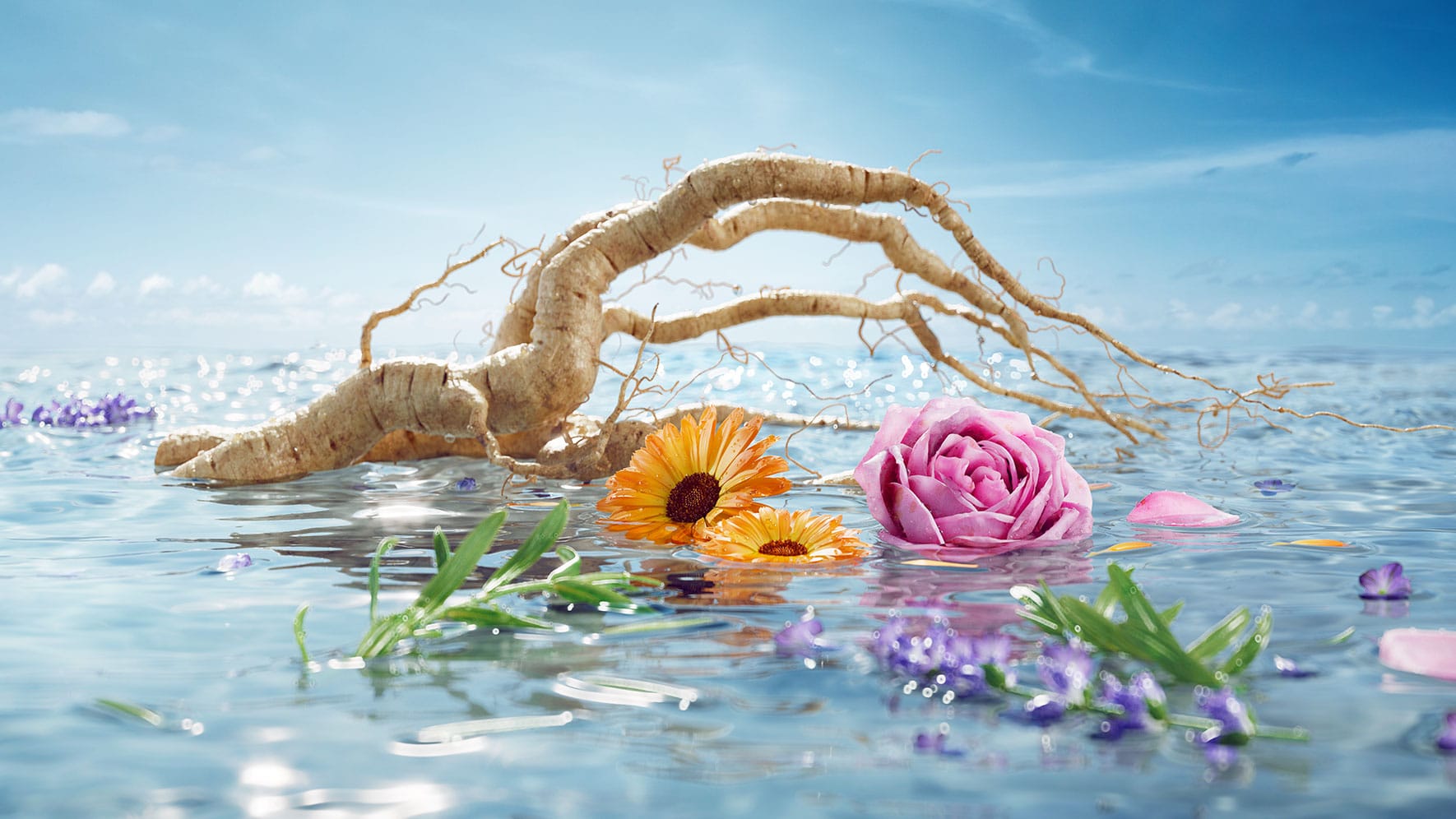 Jurlique-AWE-Content-1770w-1