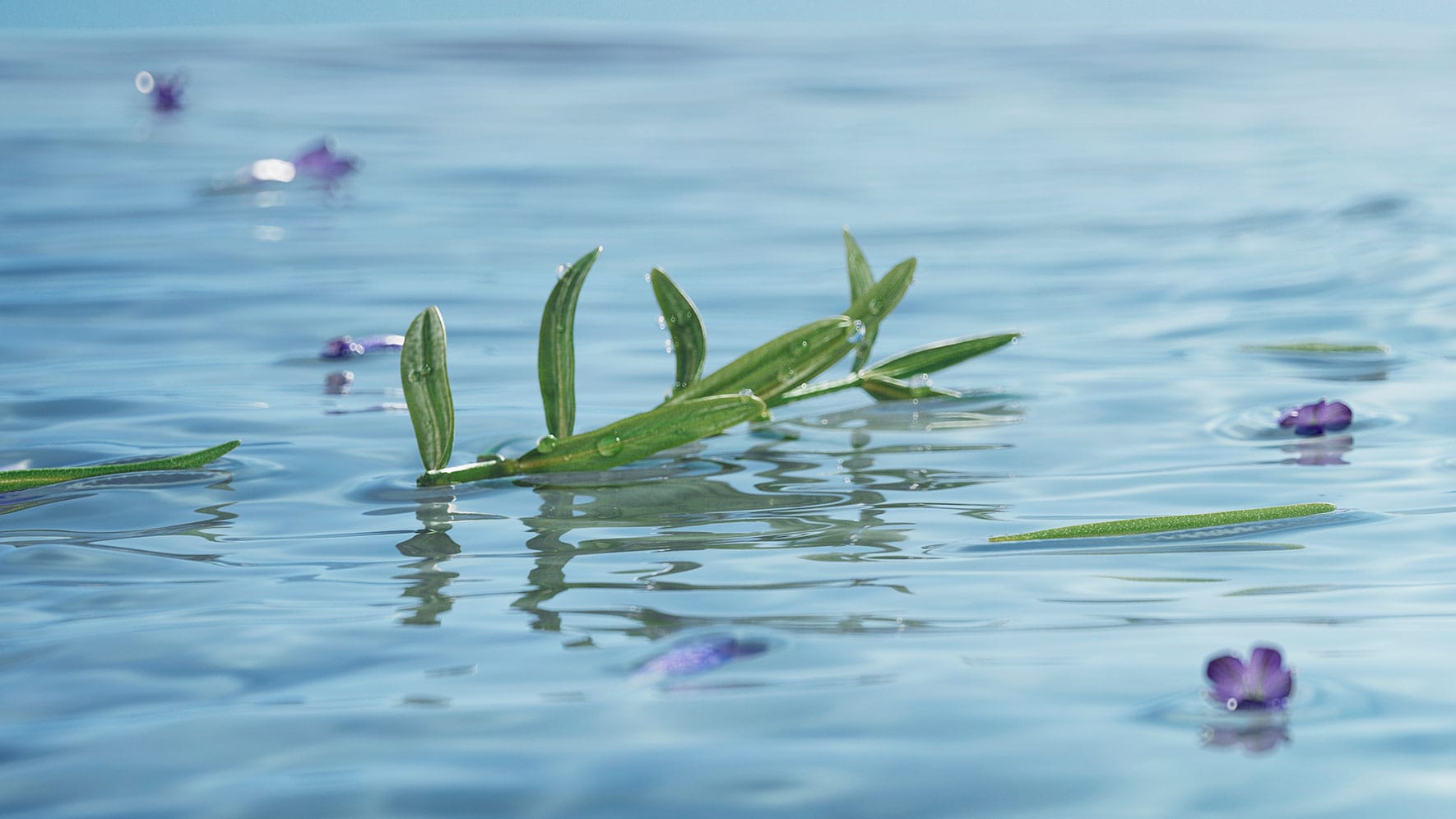 Jurlique-AWE-Content-1770w-2